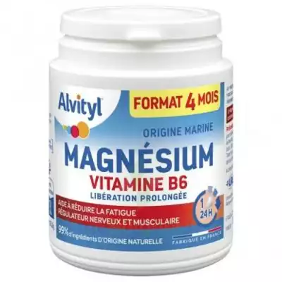Alvityl Magnésium Vitamine B6 Libération Prolongée Comprimés Lp Pot/120 à Saintes